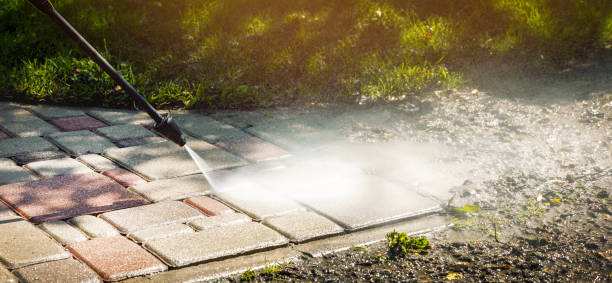 Animal Enclosure Cleaning in Bowling Green, VA